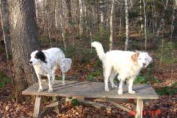 DEER CAMP 2007 031.jpg